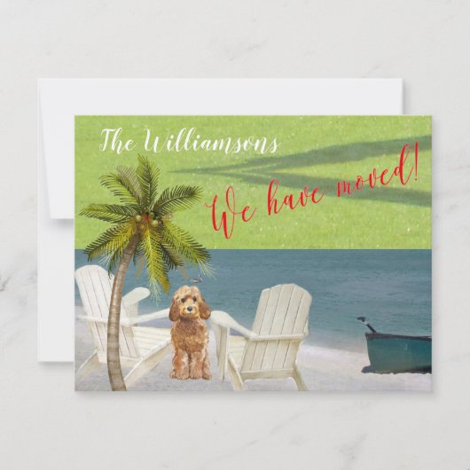 We hebben de 'Dog Ocean Beach' budgetverplaatsing  Aankondiging (Voorkant)