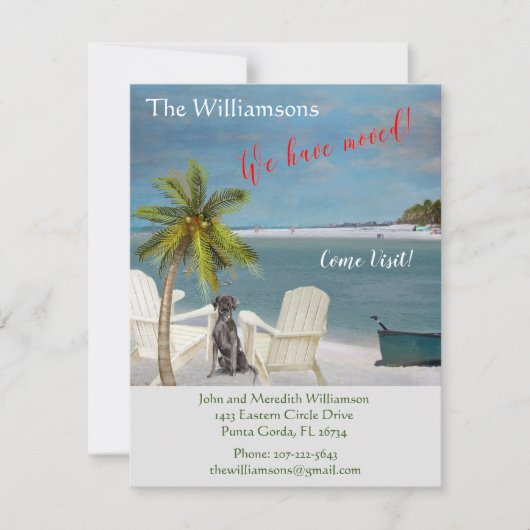 We hebben de 'Dog Ocean Beach' budgetverplaatsing Aankondiging (Voorkant)