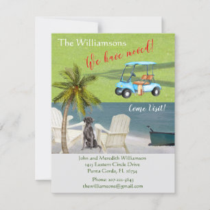 We hebben de 'Dog Ocean Beach' budgetverplaatsing Aankondiging