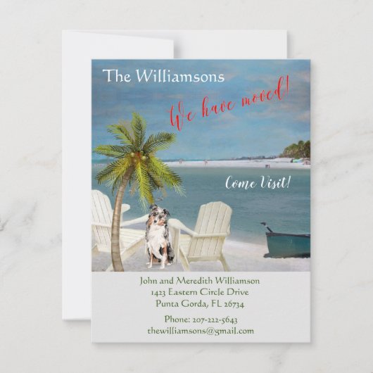 We hebben de 'Dog Ocean Beach' budgetverplaatsing Aankondiging (Voorkant)