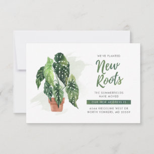 We hebben de nieuwe aankondiging van Roots Boho ve