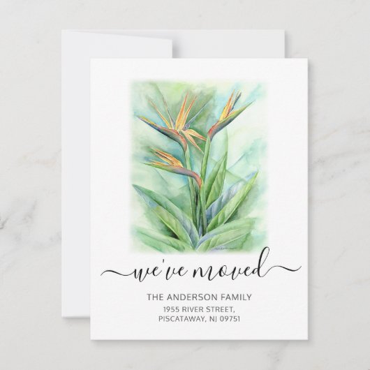 We hebben de vogelgriep van de paradijsnaam verpla aankondiging (Voorkant)