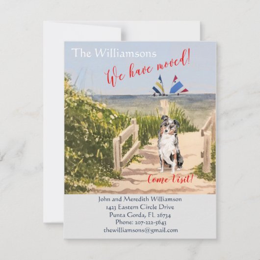 We hebben Dog Ocean Beach verplaatst Aankondiging (Voorkant)