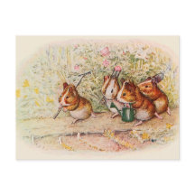 We hebben een kleine Garden Guinee Varkenshong