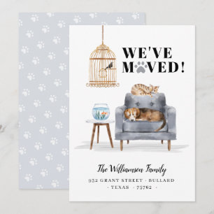 We hebben een nieuwe Thuishond en een kat-slapende Aankondiging