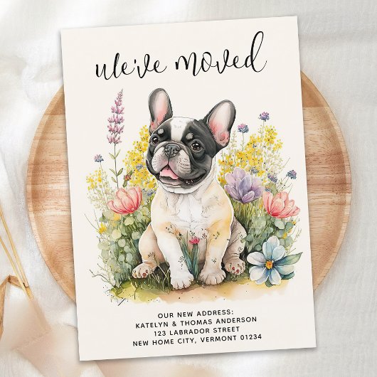 We hebben Franse buldog puppy bloemetjeshond verpl Aankondiging