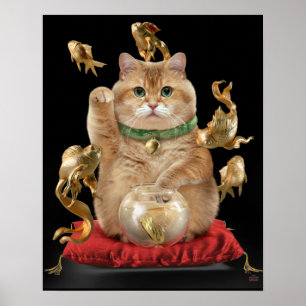We hebben gemerkt dat je afbeelding een andere gro poster