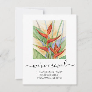 We hebben Heliconia Floral Script verplaatst Aankondiging