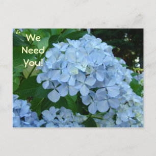 We hebben je nodig, briefkaarten worden betrokken 