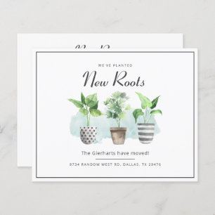 We hebben nieuwe rots-bewegende aankondiging verpl