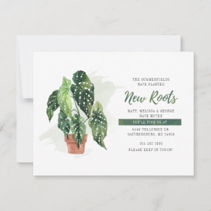 We hebben planted New Roots Moving Announcement ve