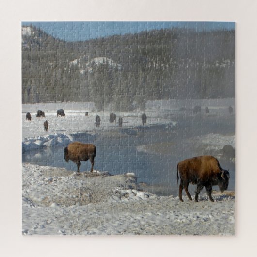 We houden van Bison Wyoming. Legpuzzel (Verticaal)