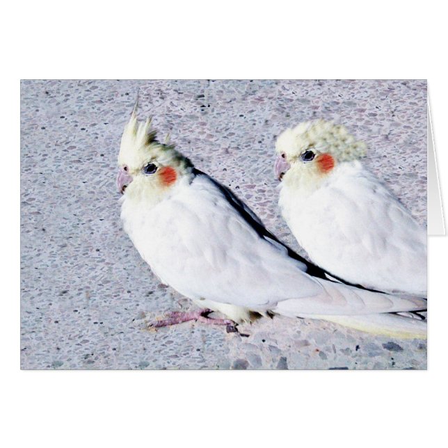 We houden van je.JPG (Voorkant Horizontaal)