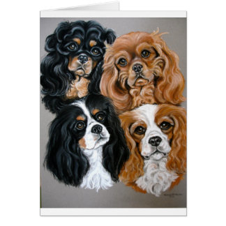 We houden van onze Cavies