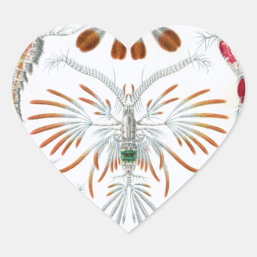 We houden van Scientific Illustrations stickers (Voorkant)