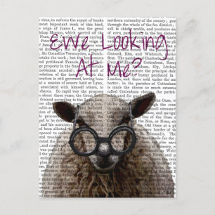 We kijken naar Me DeNiro Sheep 2 Briefkaart
