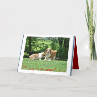 We kunnen een onwaarschijnlijke paar zijn kaart