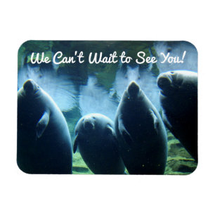 We kunnen niet wachten om je te zien! Manatees Magneet