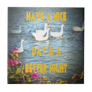 We laten onze klanten altijd tevreden en gelukkig tegeltje