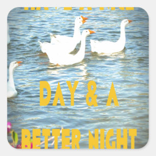 We laten onze klanten altijd tevreden en gelukkig  vierkante sticker