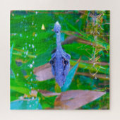 We Love Aligator is in Florida Legpuzzel (Horizontaal)