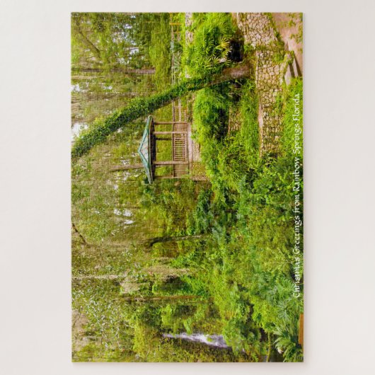 We Love Rainbow Springs en Floride Jigsaw Puzzle (Vertical)