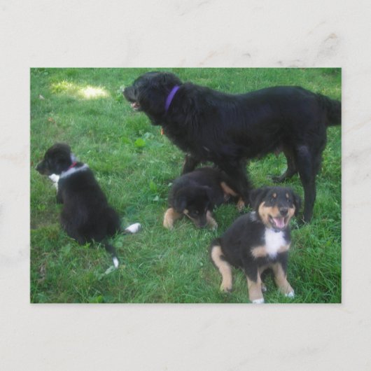 We missen je Briefkaart (Voorkant)