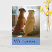 We missen je kaart (Gele Bloem)