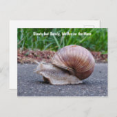 We nailen langs Briefkaart (Voorkant / Achterkant)