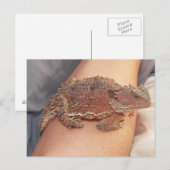 We noemden de hoornkop: Ho'Dee Towd... Kathy(AH) Briefkaart (Voorkant / Achterkant)