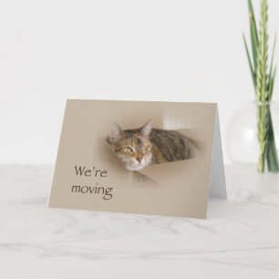 We verplaatsen Notification Kaart - Lily