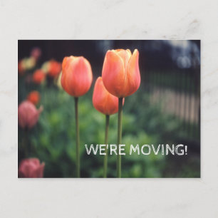 We verplaatsen  Tulip Floral-ladingen Aankondigingskaart