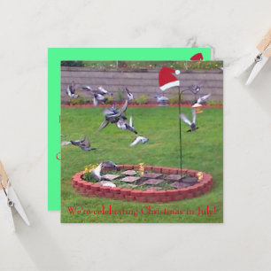 We vieren kerst in juli, vogels nodigt uit