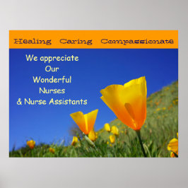 We waarderen het wonderlijke verpleegkundigen CNA' Poster