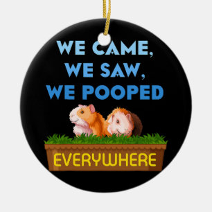 We zagen Guinee papavers van papaver. Keramisch Ornament