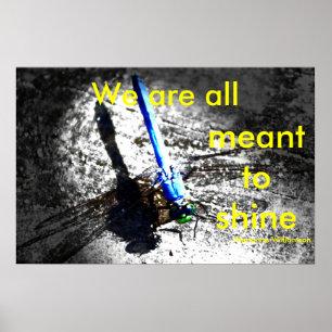 We zijn allemaal bedoeld om te schijnen poster