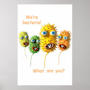 We zijn bacteriën poster