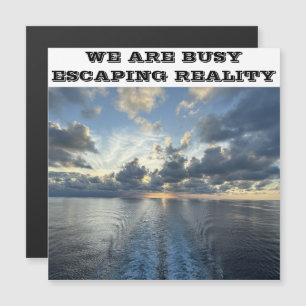 WE ZIJN BEZIG MET ONTSNAPPEN AAN REALITY CRUISE DE MAGNETISCHE UITNODIGING