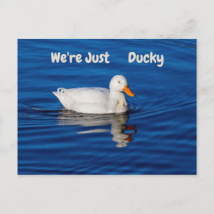 We zijn gewoon Ducky Briefkaart