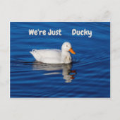 We zijn gewoon Ducky Briefkaart (Voorkant)