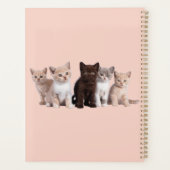 We zijn gewoon Kitten rond de agenda (Achterkant)