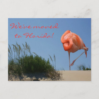 We zijn verhuisd naar Florida! Strand Flamingo Bri Aankondigingskaart