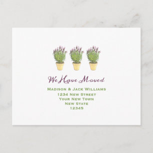 We zijn verhuisd   Nieuw adres   Nieuw startpunt Briefkaart