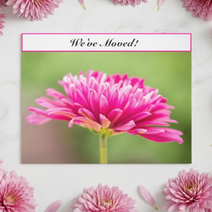 We zijn verhuisd Roze Chrysanthemum Bloemen Nieuw Aankondigingskaart