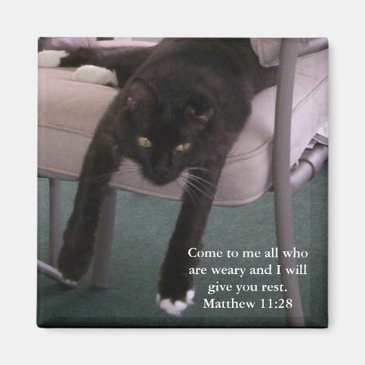 Weary M. B aimant (Devant)