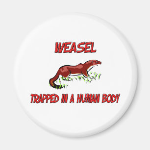 Weasel gevangen in een menselijk lichaam magneet