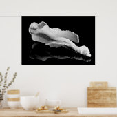 Weatherd Conch Poster (Keuken)