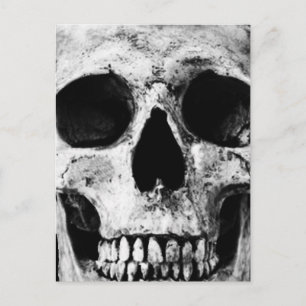 Weathered Old Skull - zwart & wit Briefkaart