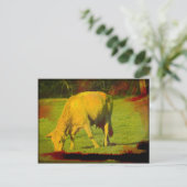 Weathered Pasture Briefkaart (Staand voorkant)