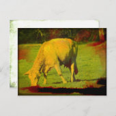 Weathered Pasture Briefkaart (Voorkant / Achterkant)